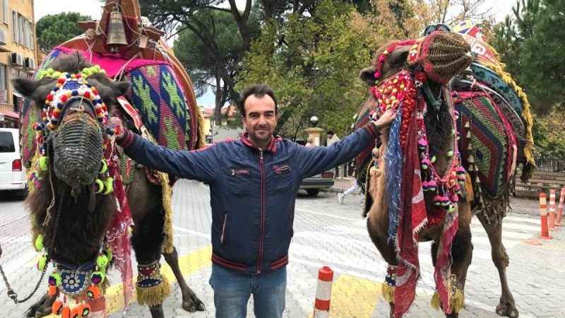 Denizli'de develerin gövde gösterisi Denizli'de develerin gövde gösterisi