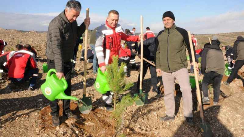 Kütahya’da maden sahasına 6 bin fidan dikildi