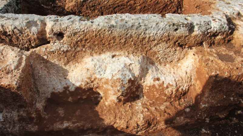 Perre’de Antik Kenti'nde 1800 yıllık boğa başı kabartması bulundu Perre’de Antik Kenti'nde 1800 yıllık boğa başı kabartması bulundu