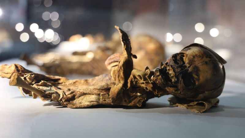 Türkiye'nin tek mumya müzesinde 12. yüzyılın mumyaları sergileniyor Türkiye'nin tek mumya müzesinde 12. yüzyılın mumyaları sergileniyor