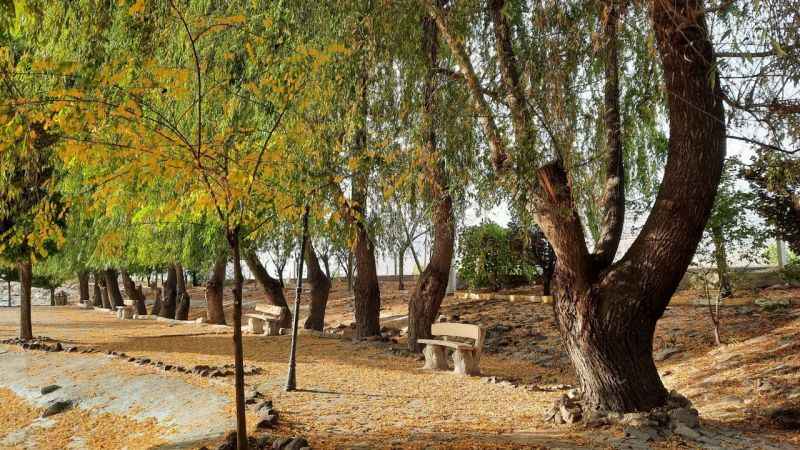 ‘Bor’da Sonbahar’ temalı yarışmanın fotoğrafları büyüledi ‘Bor’da Sonbahar’ temalı yarışmanın fotoğrafları büyüledi