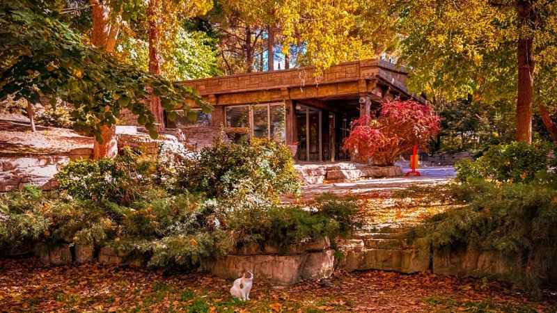 ‘Bor’da Sonbahar’ temalı yarışmanın fotoğrafları büyüledi ‘Bor’da Sonbahar’ temalı yarışmanın fotoğrafları büyüledi