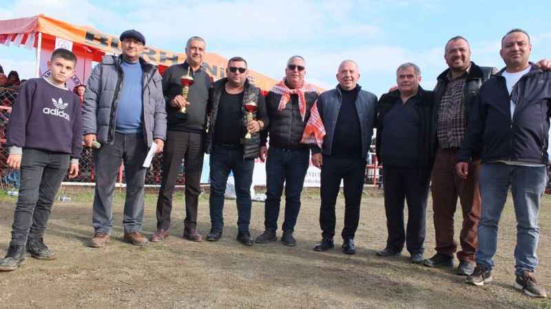 Balıkesir’deki deve güreşlerini binlerce kişi izledi