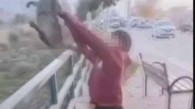 TikTok'ta paylaşmak için kediyi ırmağa atmışlardı, gözaltına alındılar TikTok'ta paylaşmak için kediyi ırmağa atmışlardı, gözaltına alındılar