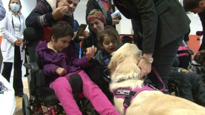 Özel eğitimli köpekler hastalara terapide yardımcı oluyor