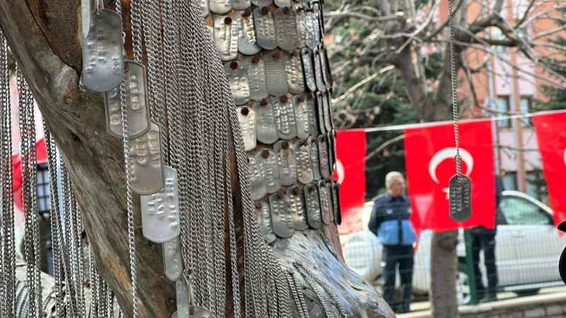 Şehitlerin künyeleri Şehit Ağacı'na çakıldı Şehitlerin künyeleri Şehit Ağacı'na çakıldı