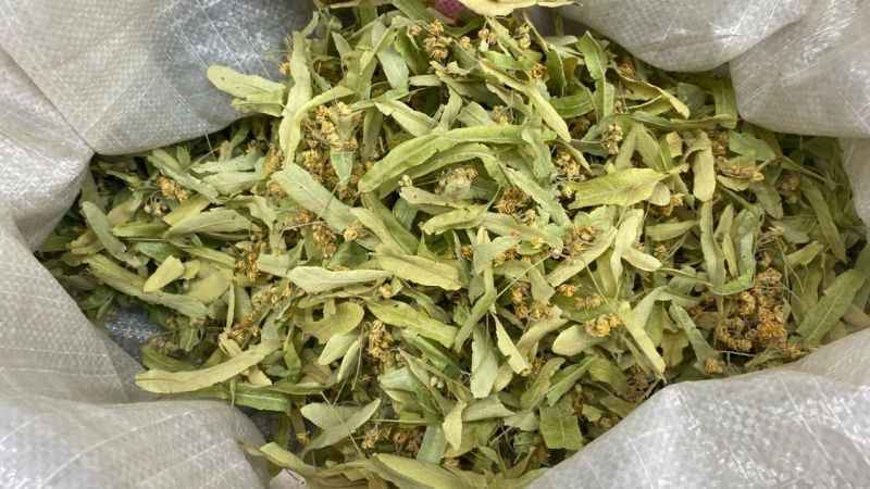 Ihlamurun kilosu 600 TL Ihlamurun kilosu 600 TL