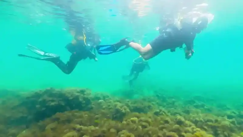 Karadeniz'in dibinden tarih çıktı Karadeniz'in dibinden tarih çıktı
