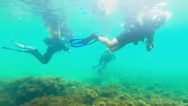 Karadeniz'in dibinden tarih çıktı Karadeniz'in dibinden tarih çıktı