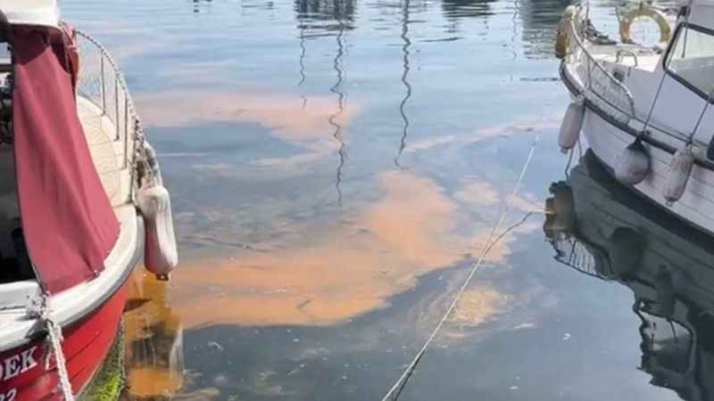 Marmara Denizi alarm veriyor