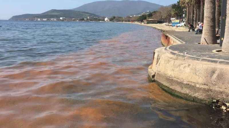 Marmara Denizi alarm veriyor