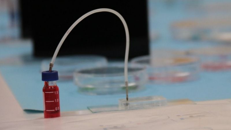 Canlı Denek Olmadan Tedavi Geliştiriyorlar