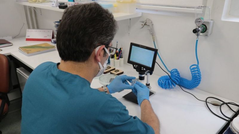 Canlı Denek Olmadan Tedavi Geliştiriyorlar