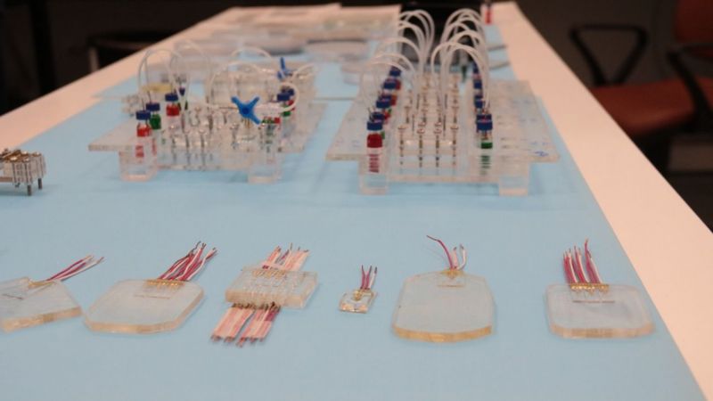 Canlı Denek Olmadan Tedavi Geliştiriyorlar