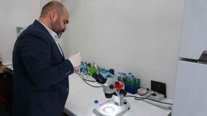 Çıplak elle keneye dokunmayın!