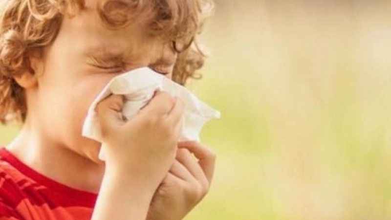 Çocuğunuzda alerji varsa 14 altın öneri