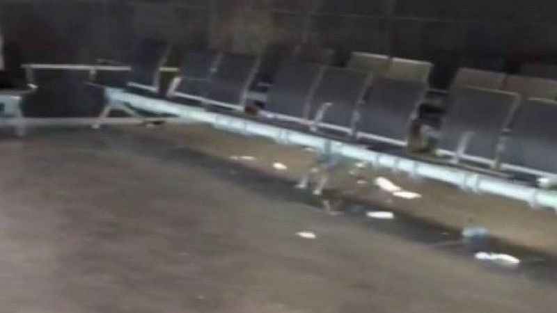Sabiha Gökçen Havalimanı çöplüğe döndü Sabiha Gökçen Havalimanı çöplüğe döndü