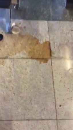 Sabiha Gökçen Havalimanı çöplüğe döndü Sabiha Gökçen Havalimanı çöplüğe döndü