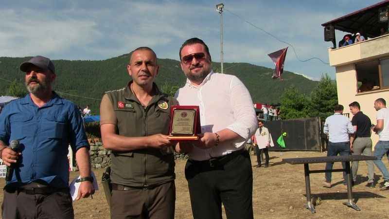 Boğaların güç mücadelesi nefes kesti Boğaların güç mücadelesi nefes kesti