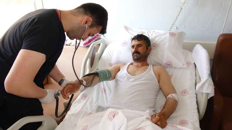 Kurbanlık seçerken hayvan tepti Kurbanlık seçerken hayvan tepti