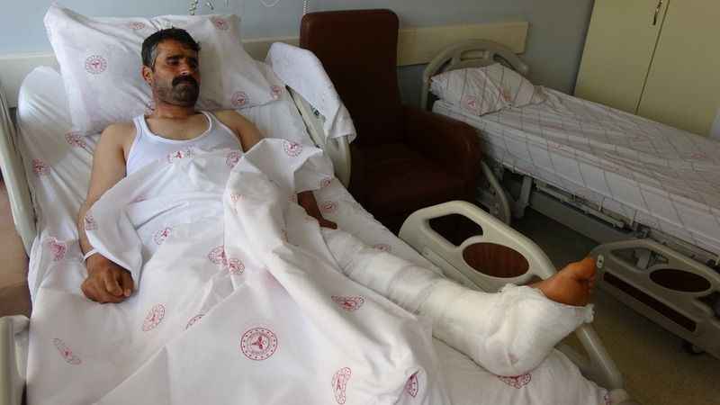 Kurbanlık seçerken hayvan tepti Kurbanlık seçerken hayvan tepti
