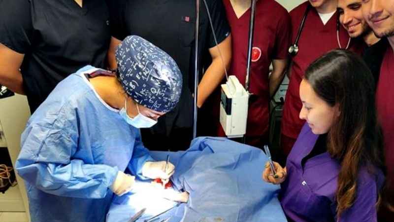Kastamonu hayvan hastanesine kavuştu Kastamonu hayvan hastanesine kavuştu