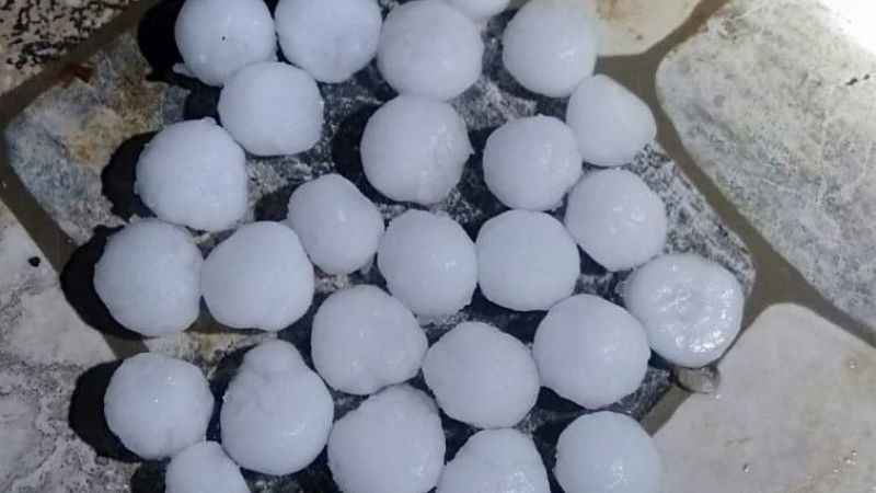 Malatya’da dolu yağışı kayısı bahçelerine zarar verdi