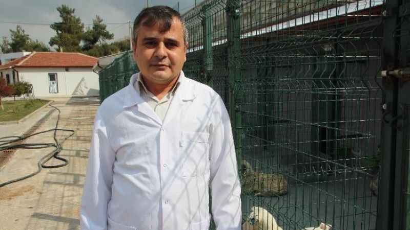 Kurbanlık alırken bunlara dikkat! Kurbanlık alırken bunlara dikkat!