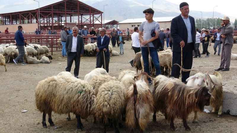 Veterinerden 'kurbanlık' önerileri