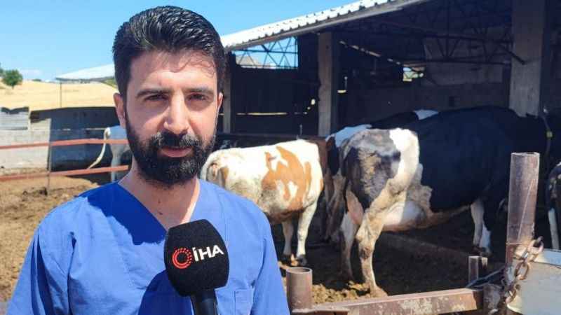 Kurbanlık alacaklara tüberküloz uyarısı Kurbanlık alacaklara tüberküloz uyarısı