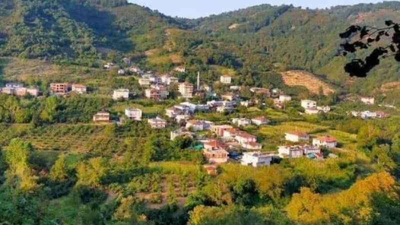 Hırsızlar, Alaplı'da boş evlere dadandı Hırsızlar, Alaplı'da boş evlere dadandı
