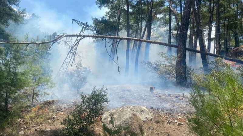 Antalya’da orman yangını