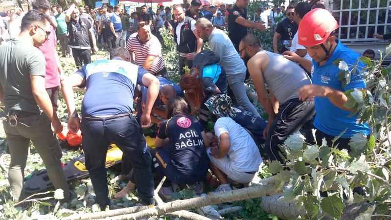 Kırkpınar'da korkutan anlar: Devrilen ağacın altında kalan 2 kişi yaralandı