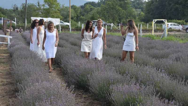 Alternatif turizm rotası: Lavanta tarlaları Alternatif turizm rotası: Lavanta tarlaları
