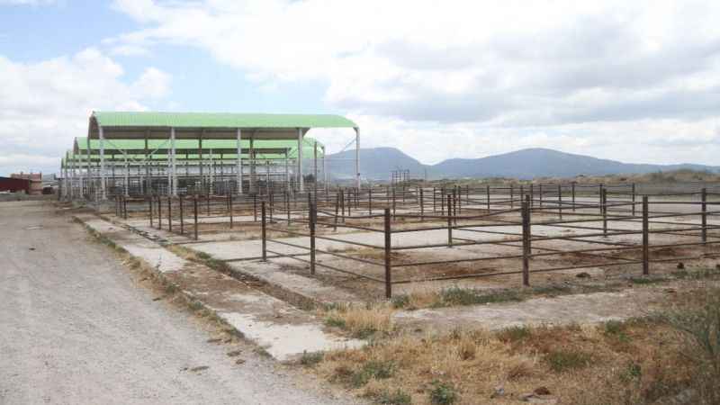 Beyşehir hayvan pazarı kapatıldı Beyşehir hayvan pazarı kapatıldı