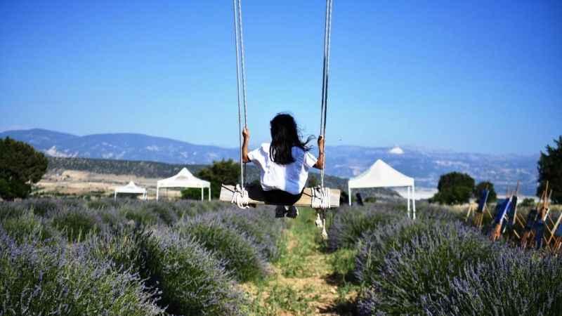 Isparta’da lavanta festivali başladı