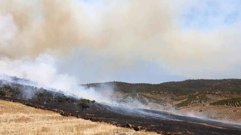 Kahramanmaraş’taki orman yangını kontrol altına alındı