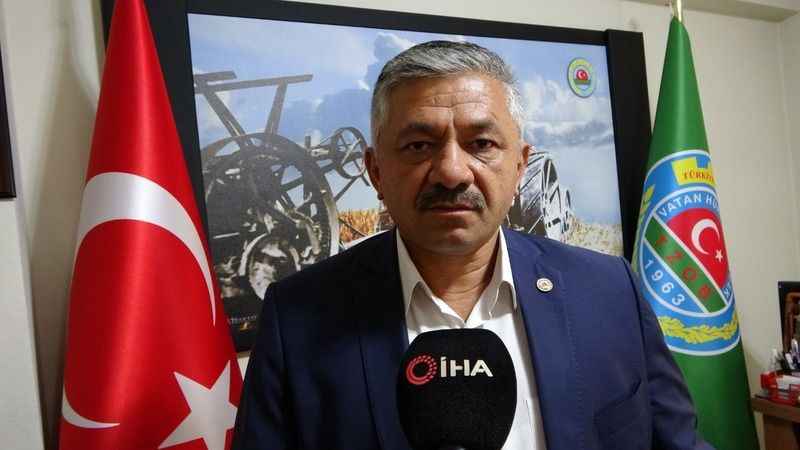 Soydan: “Türkiye'nin tahmini fındık rekoltesi 717 bin ton