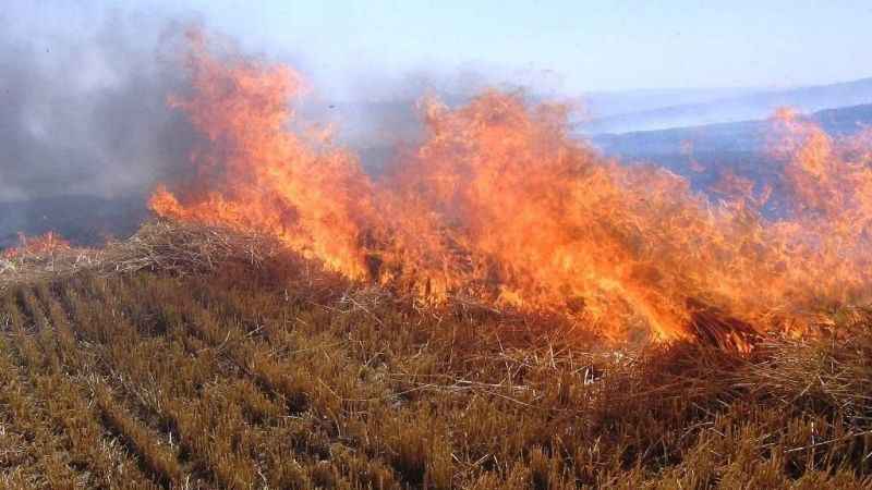 Çiftçilere "anız" uyarısı Çiftçilere "anız" uyarısı