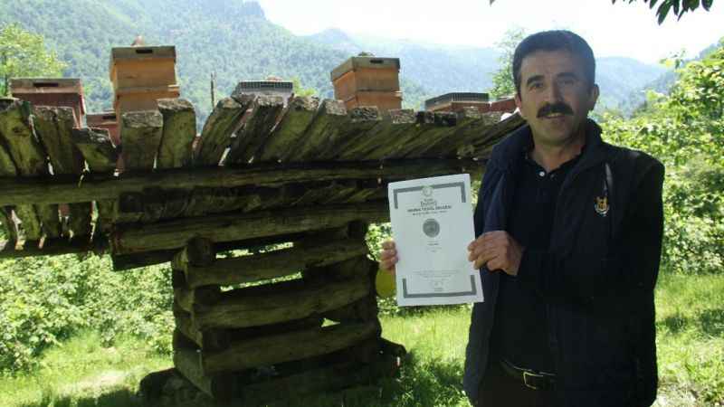 Giresun’da yüzyıllık arı çardakları tescillendi
