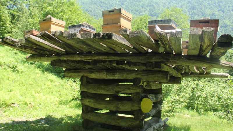 Giresun’da yüzyıllık arı çardakları tescillendi