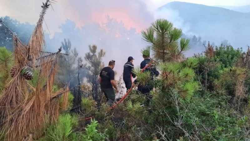 Tunus’ta orman yangını: 470 hektarlık alan küle döndü