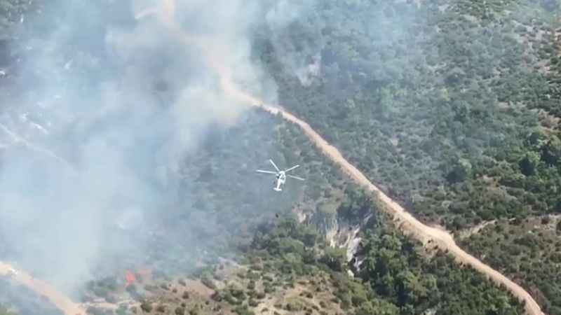 Manisa'da orman yangını Manisa'da orman yangını