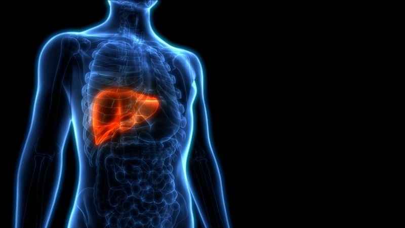 Hepatitin sinsi belirtilerine dikkat!