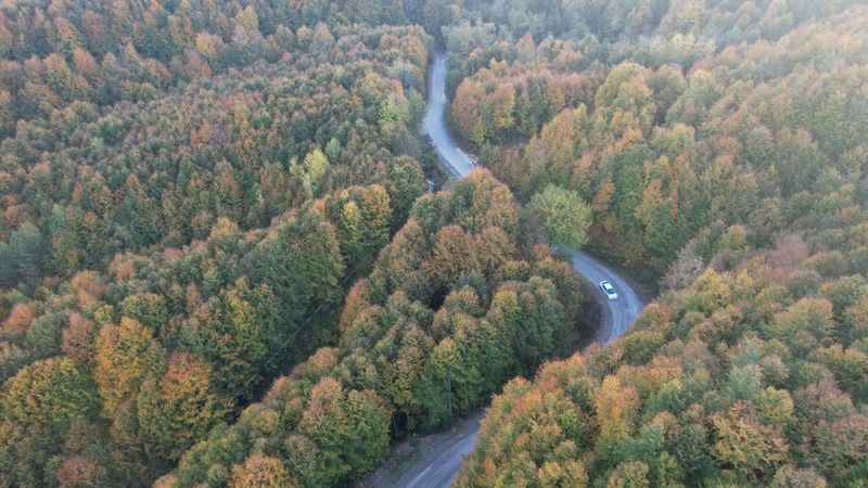 Zonguldak’ta 30 Eylül’e kadar ormanlara giriş yasaklandı