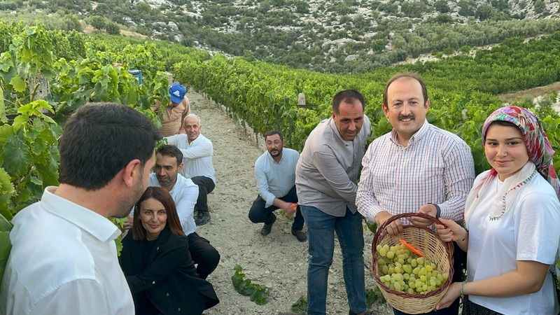 Mersin'de Üzüm Şenliği coşkusu Mersin'de Üzüm Şenliği coşkusu