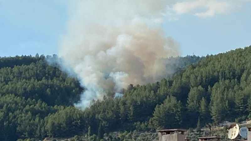 Muğla’daki orman yangını kontrol altına alındı