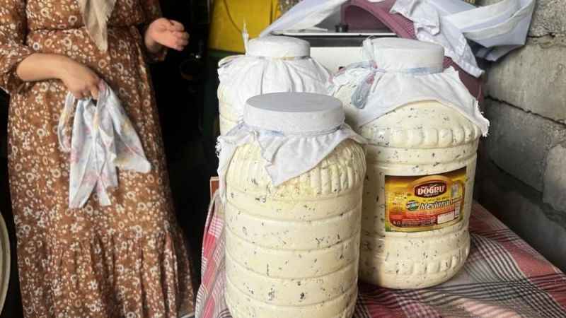 Doğal yollarla üretilen peynirler kışın tüketilmek üzere toprağa gömülüyor Doğal yollarla üretilen peynirler kışın tüketilmek üzere toprağa gömülüyor