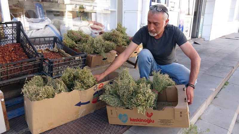 Esnaf işlerin iyiye gitmesi için üzerlik otu tüttürdü Esnaf işlerin iyiye gitmesi için üzerlik otu tüttürdü