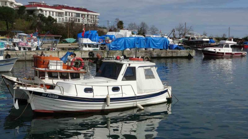 Hamsi ve istavrit olmayınca balıkçılar sezonu erken kapattı